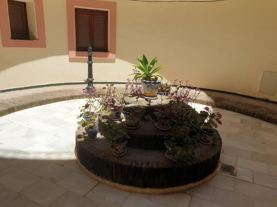 Espacioso Apartamento En Amor De Dios, Alameda Seville Ngoại thất bức ảnh